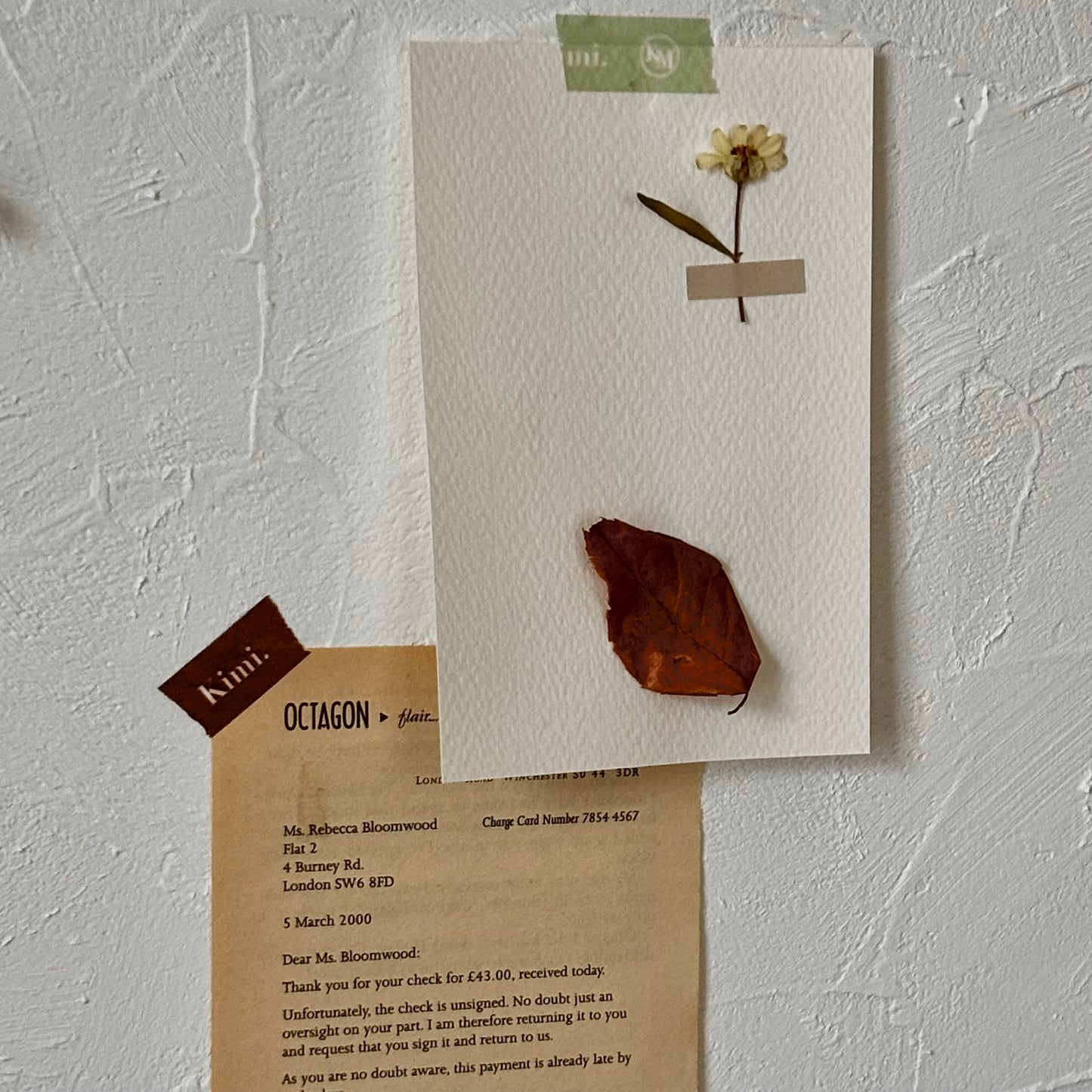 Kimi. logo masking tape-brown