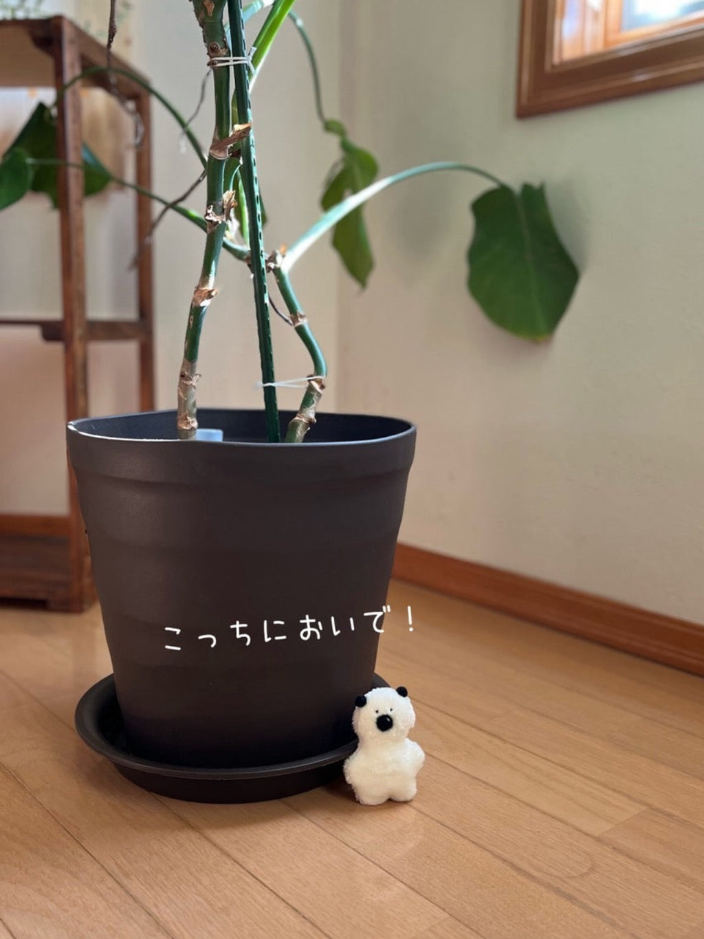 きみくんの小さなぬい