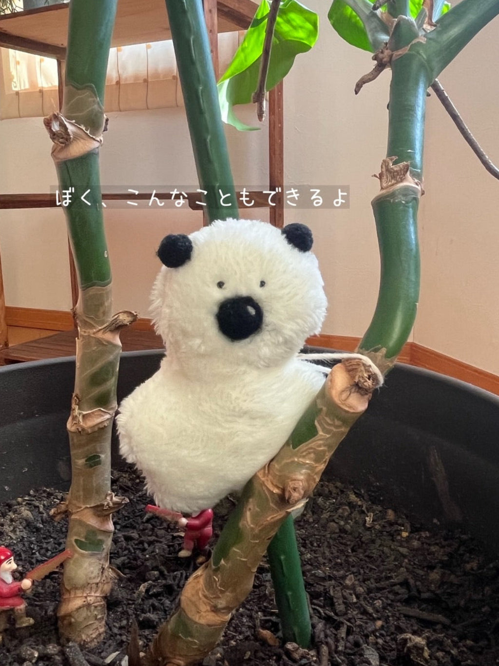 きみくんの小さなぬい