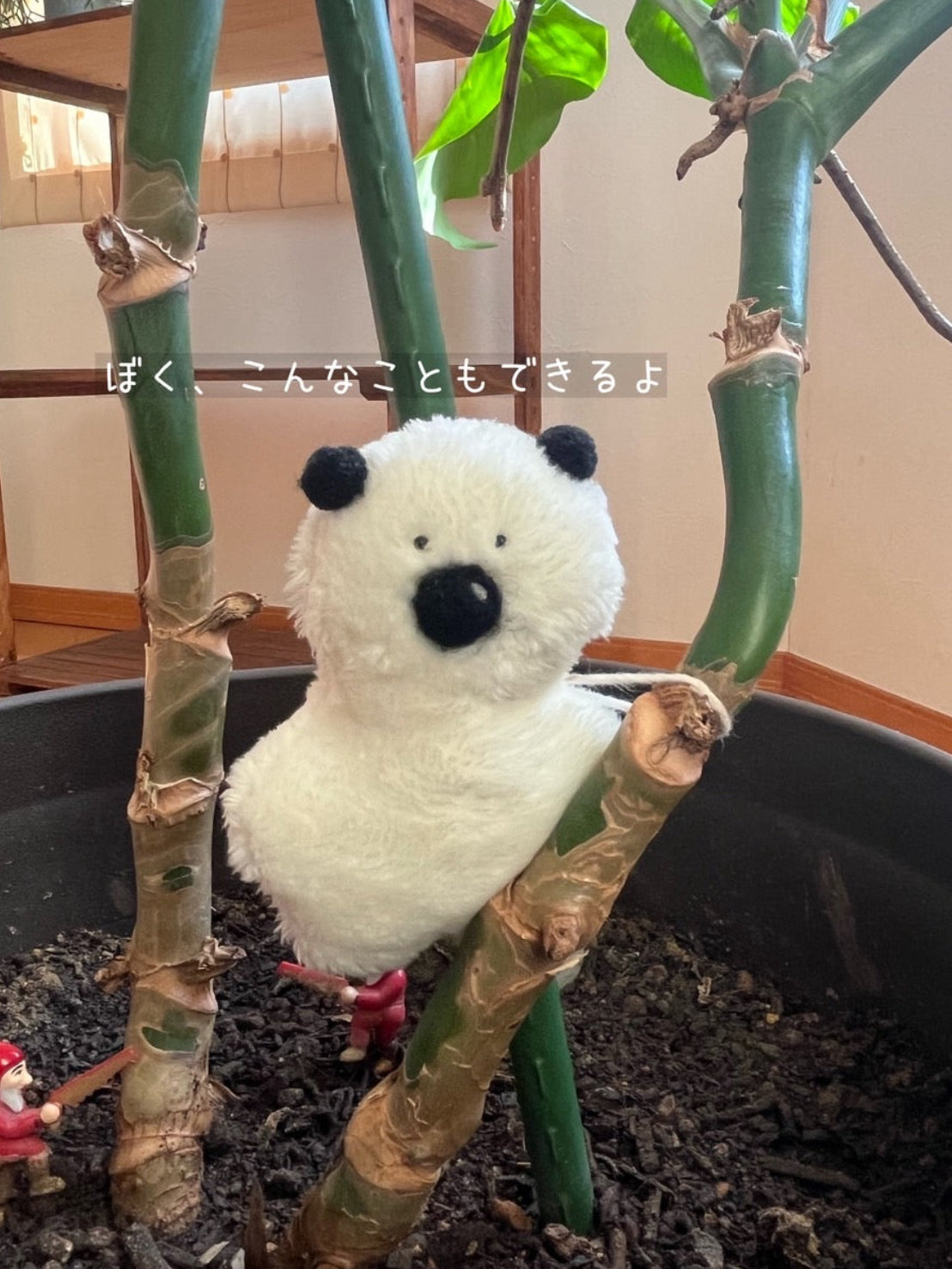 きみくんの小さなぬい