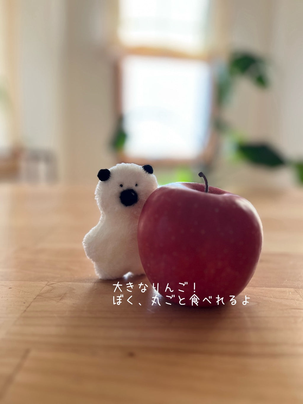 きみくんの小さなぬい