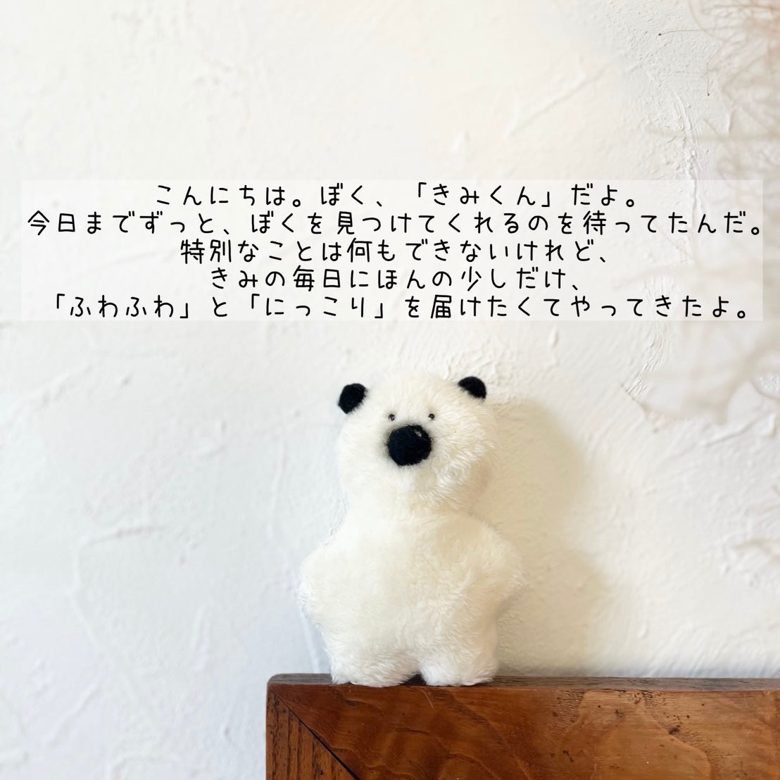 きみくんの小さなぬい