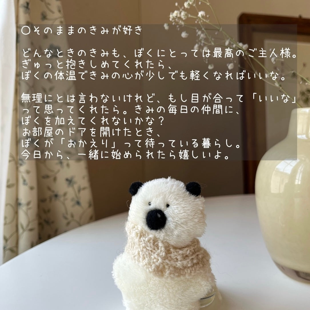 きみくんの小さなぬい