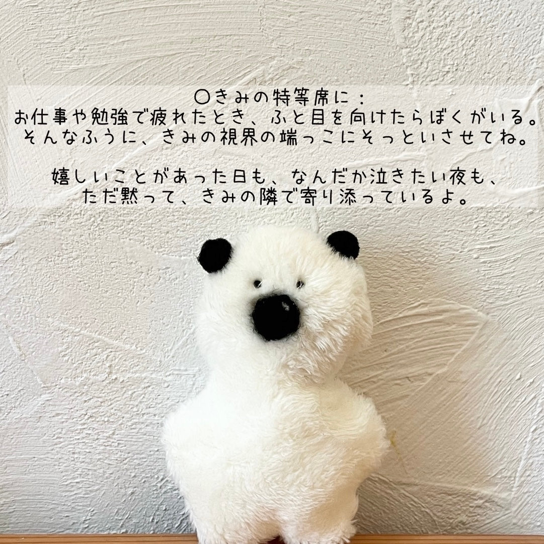 きみくんの小さなぬい